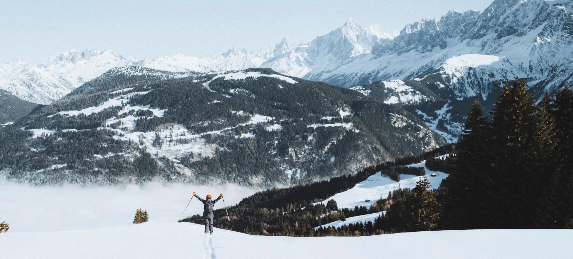 Bâtons de ski  La Dernière Chasse