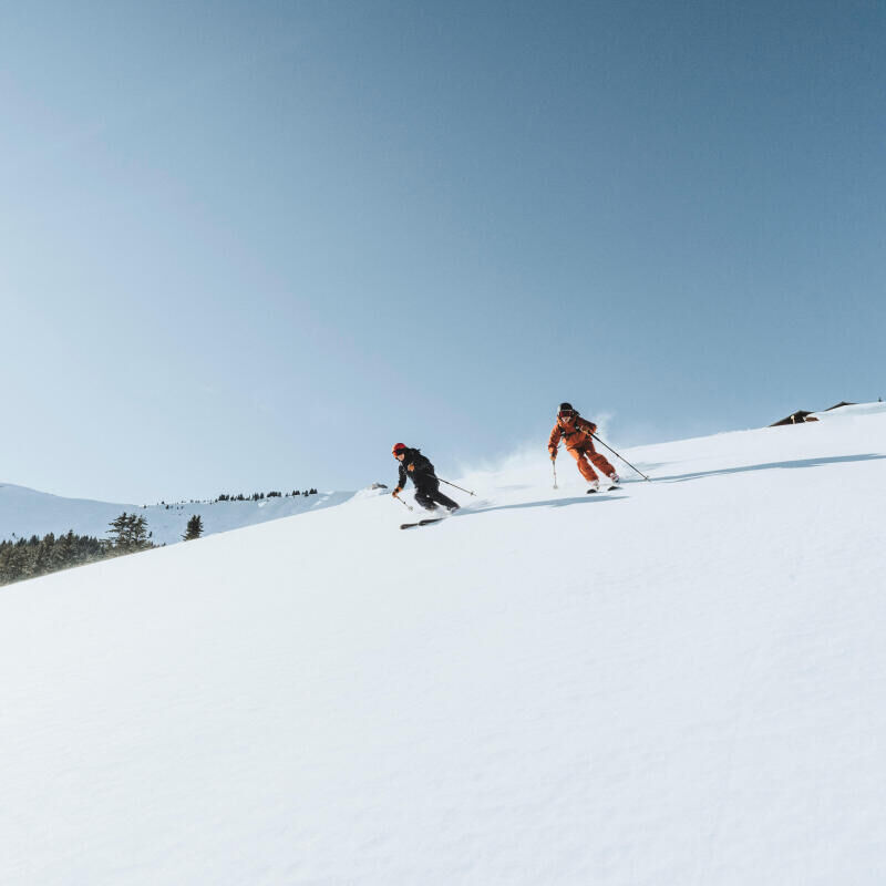 sav ski wedze