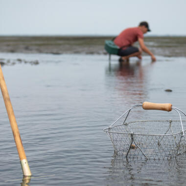 Pêche à pied