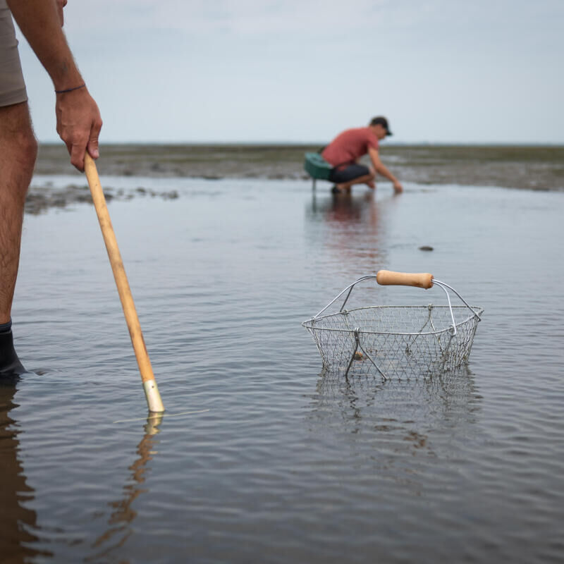 Pêche à pied