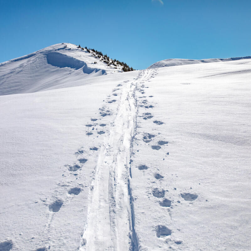 Comment accrocher un leash sur des fixations de randonnée