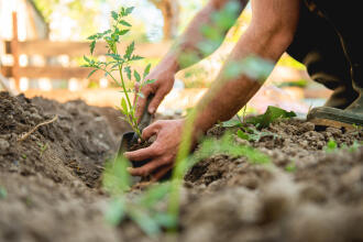 Is gardening a sport? Several similarities you should be aware of