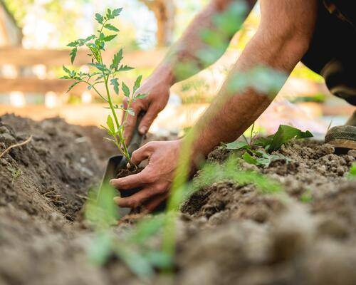 Le jardinage, c'est du sport ? Quelques équivalences à connaître