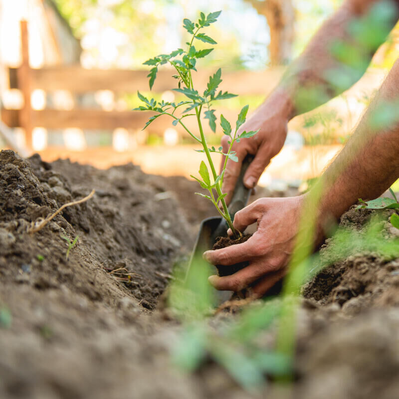 Le jardinage, c'est du sport ? Quelques équivalences à connaître