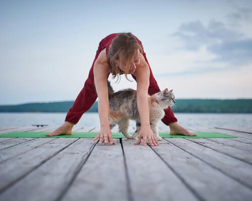 Peut-on faire du sport avec son chat ?