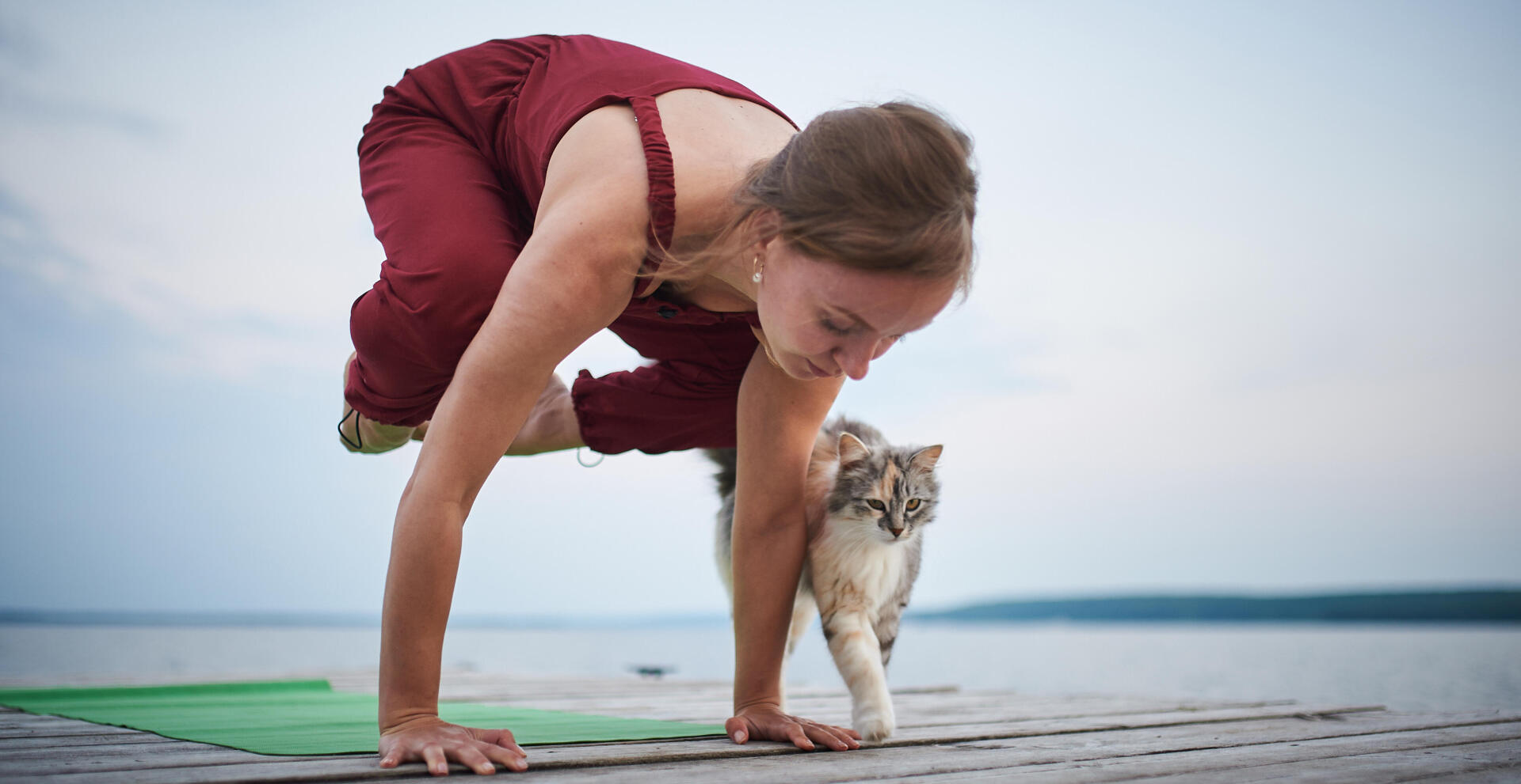 Peut-on faire du sport avec son chat ?