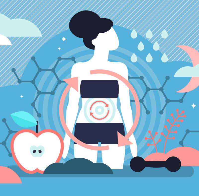 Tout savoir sur le métabolisme de base