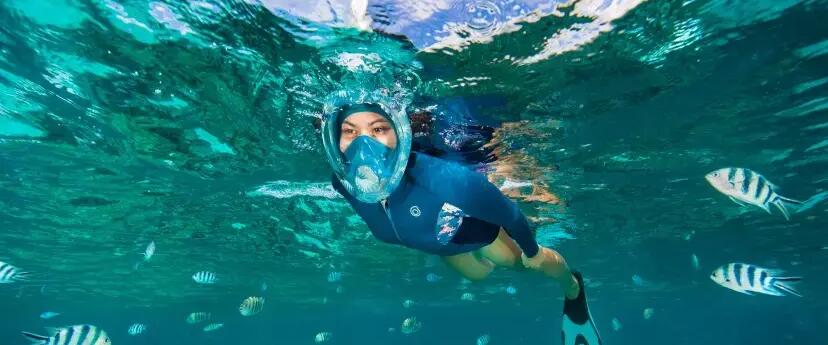 kobieta w płetwach pływackich nurkuje w masce do snorkelingu