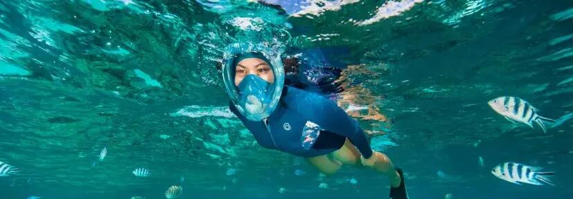 kobieta nurkująca w piance pływackiej i masce do snorkelingu 