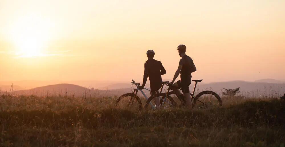 ROCKRIDER AM 100S 11V (2017)