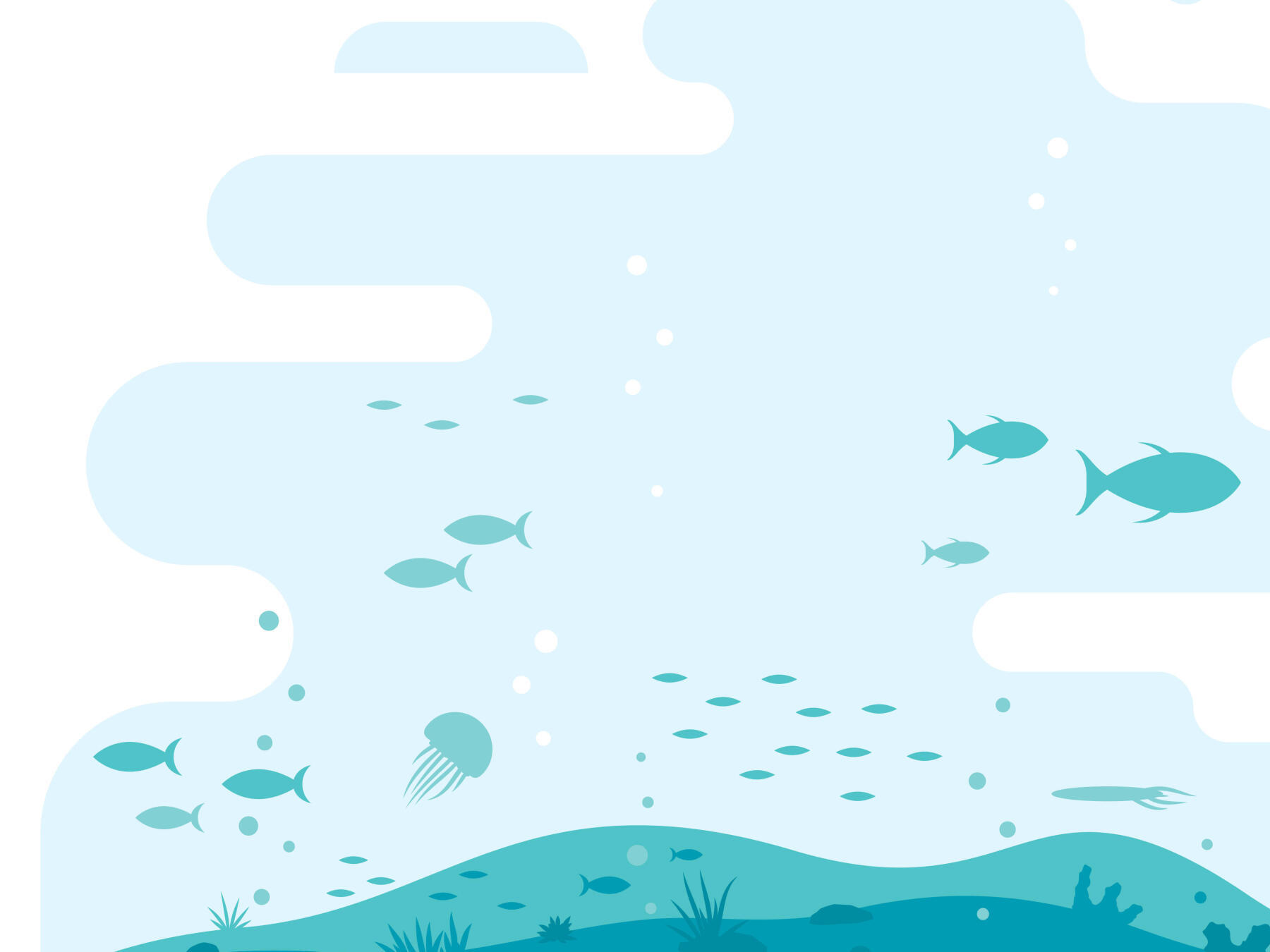 Illustration d'un océan avec plusieurs espèces de poissons