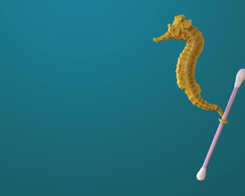 Illustration d'un hippocampe tenant un coton-tige