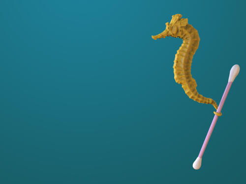 Illustration d'un hippocampe tenant un coton-tige