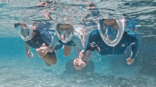 A GIF of three people Snorkeling
