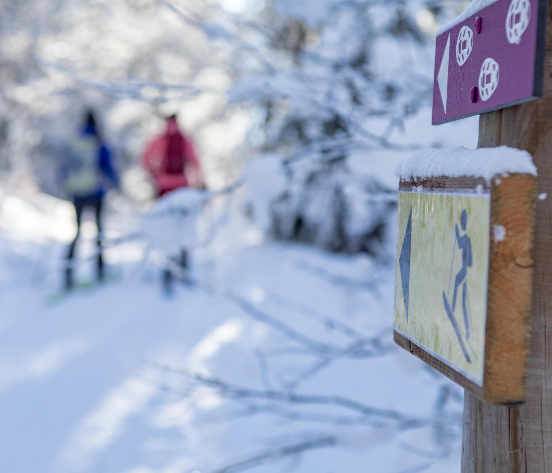 Comment choisir ses skis de randonnée