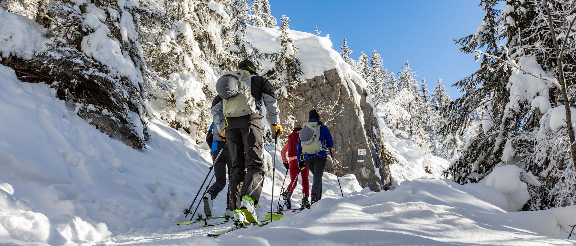 ludzie trenujący skitouring  w górach