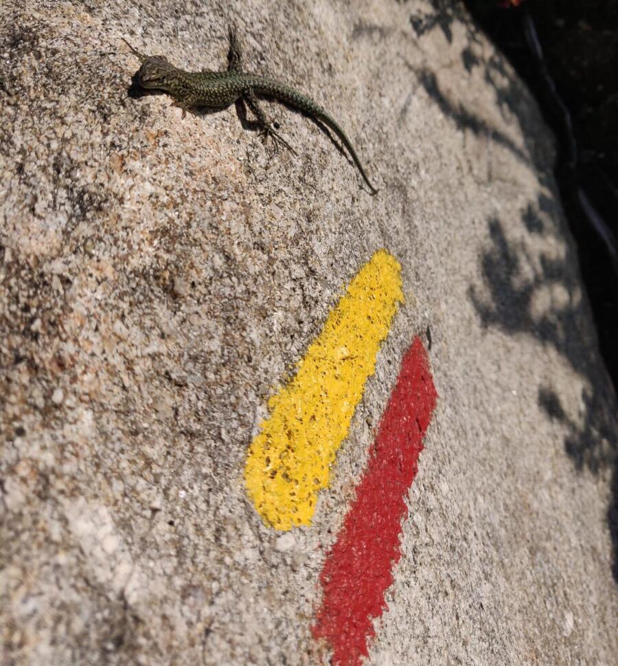 O que saber para caminhar em Portugal