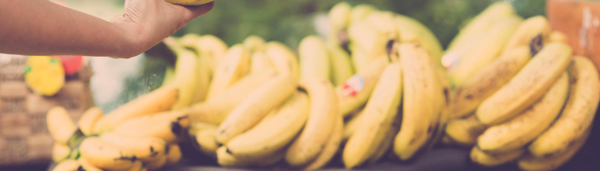 La banane : ses calories, ses bienfaits, et bien plus encore !