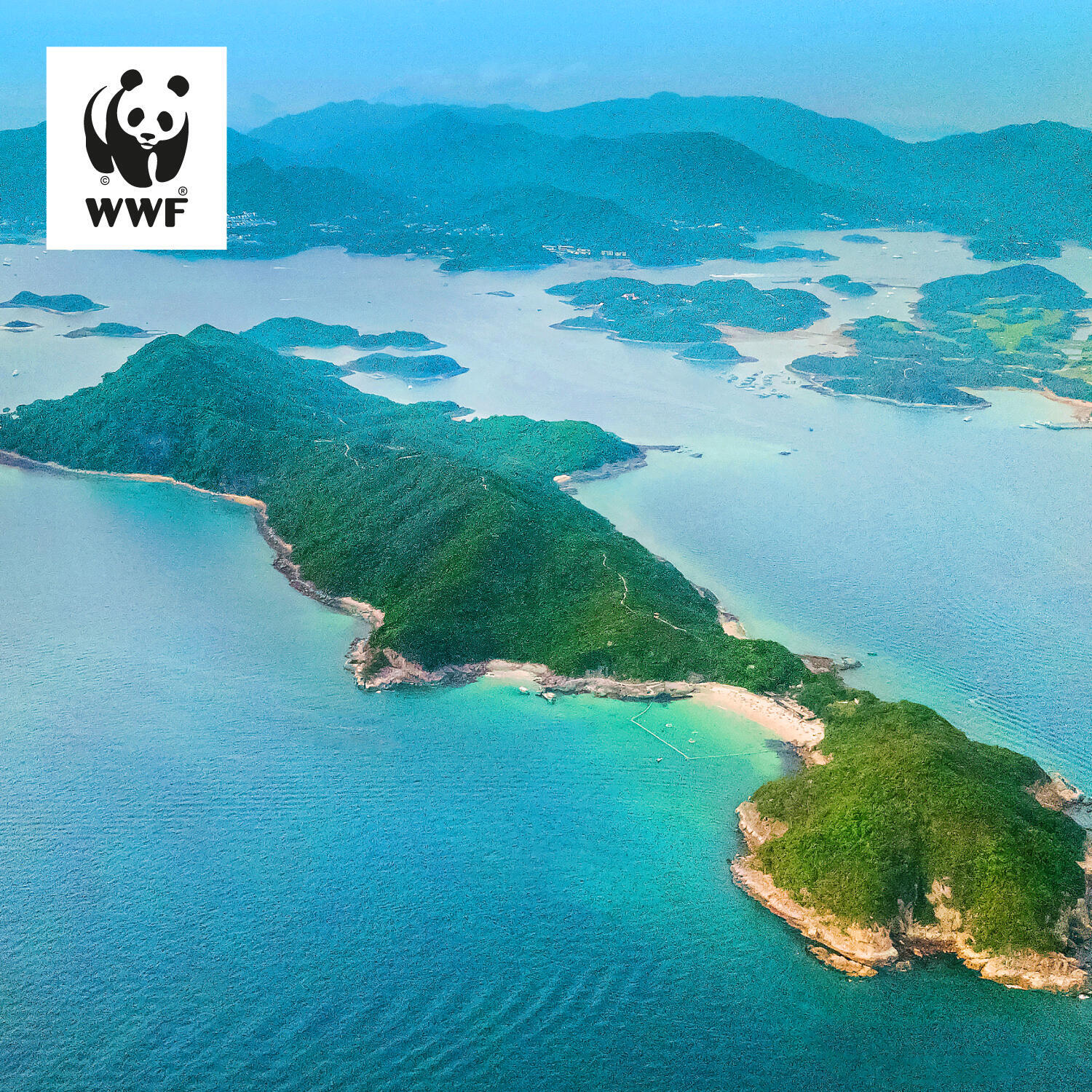WWF的海洋保育工作