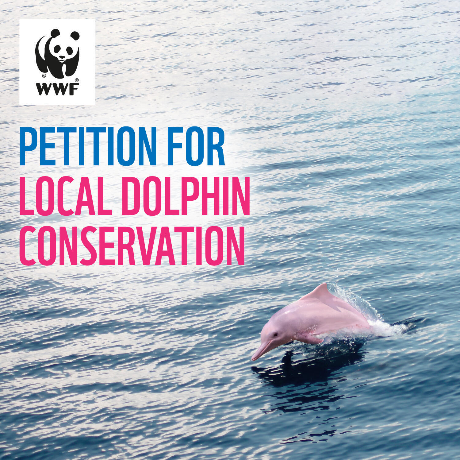 Chinese White Dolphin Petition