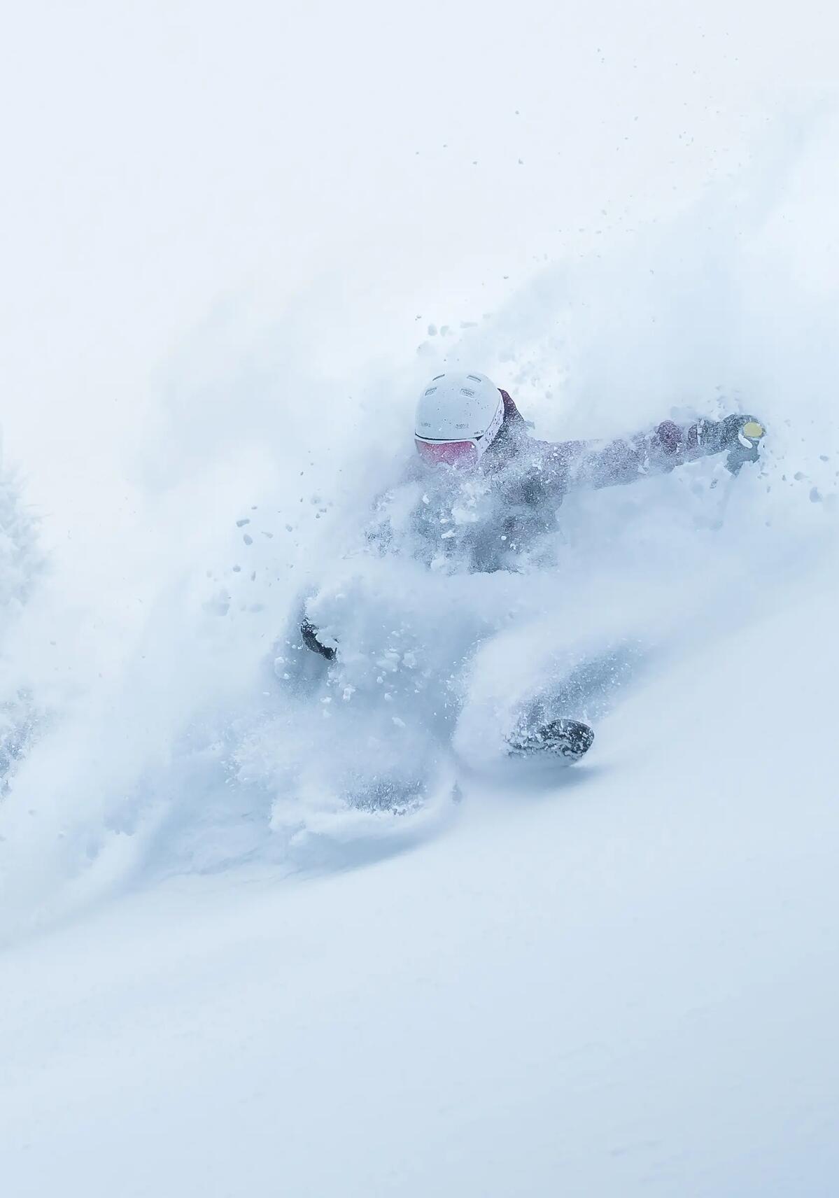 Pantalon de ski freeride hotsell