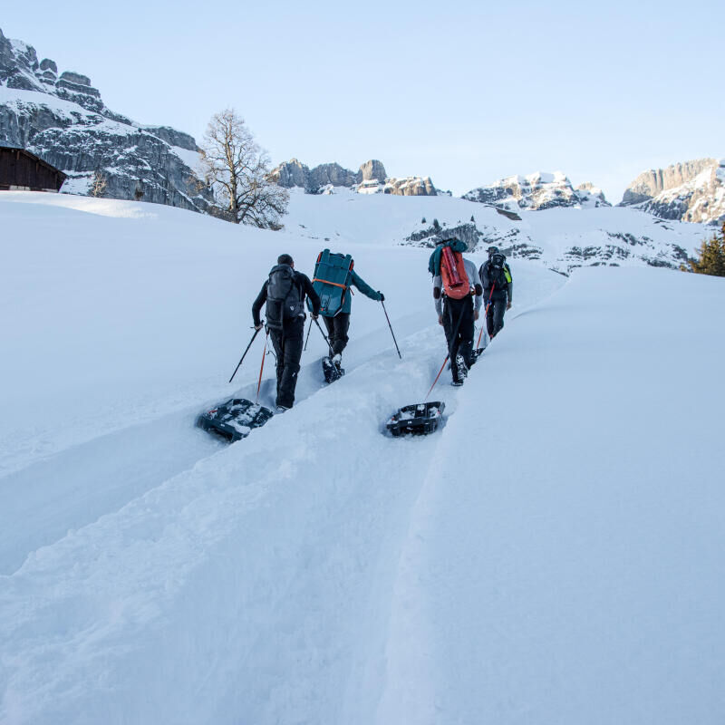 La rando-luge vous connaissez ?