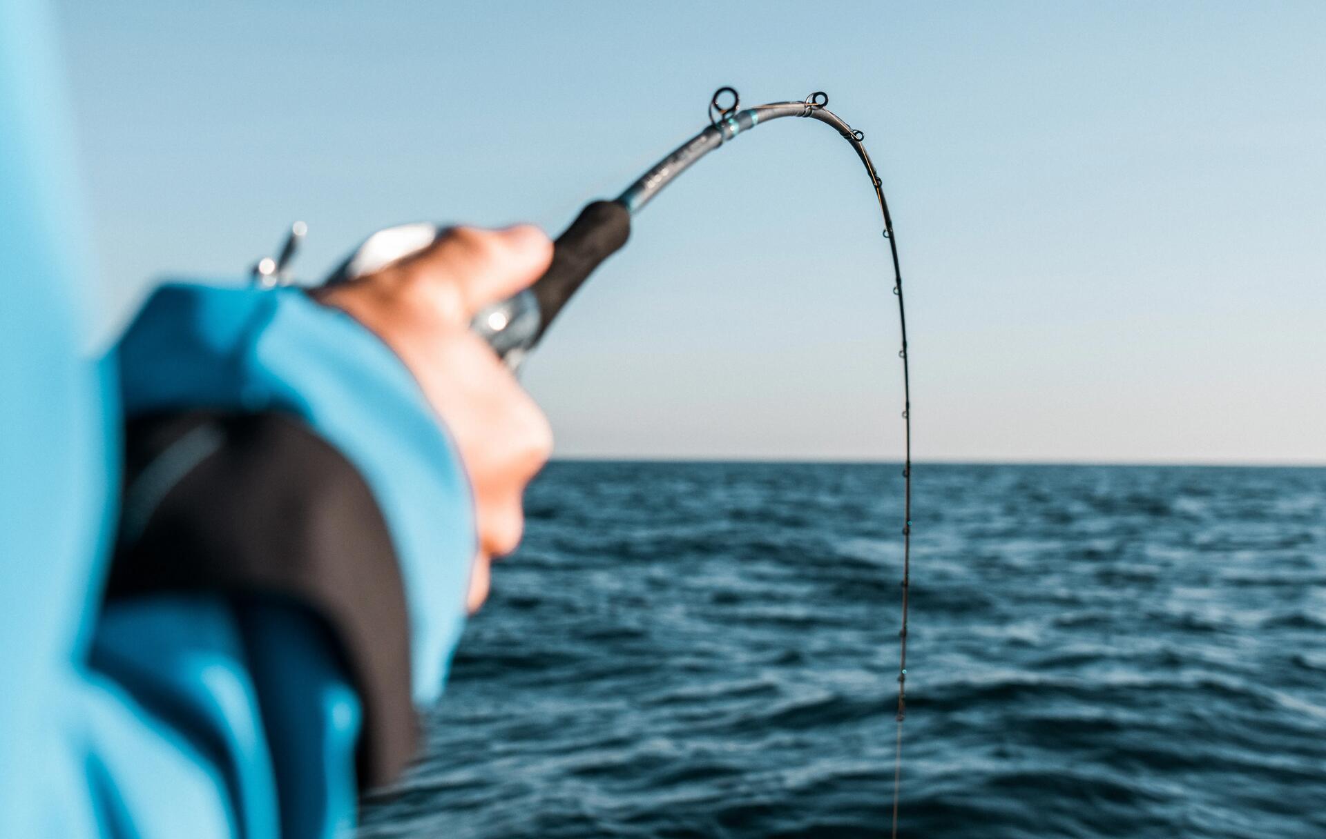 sürdürülebilir balıkçılık