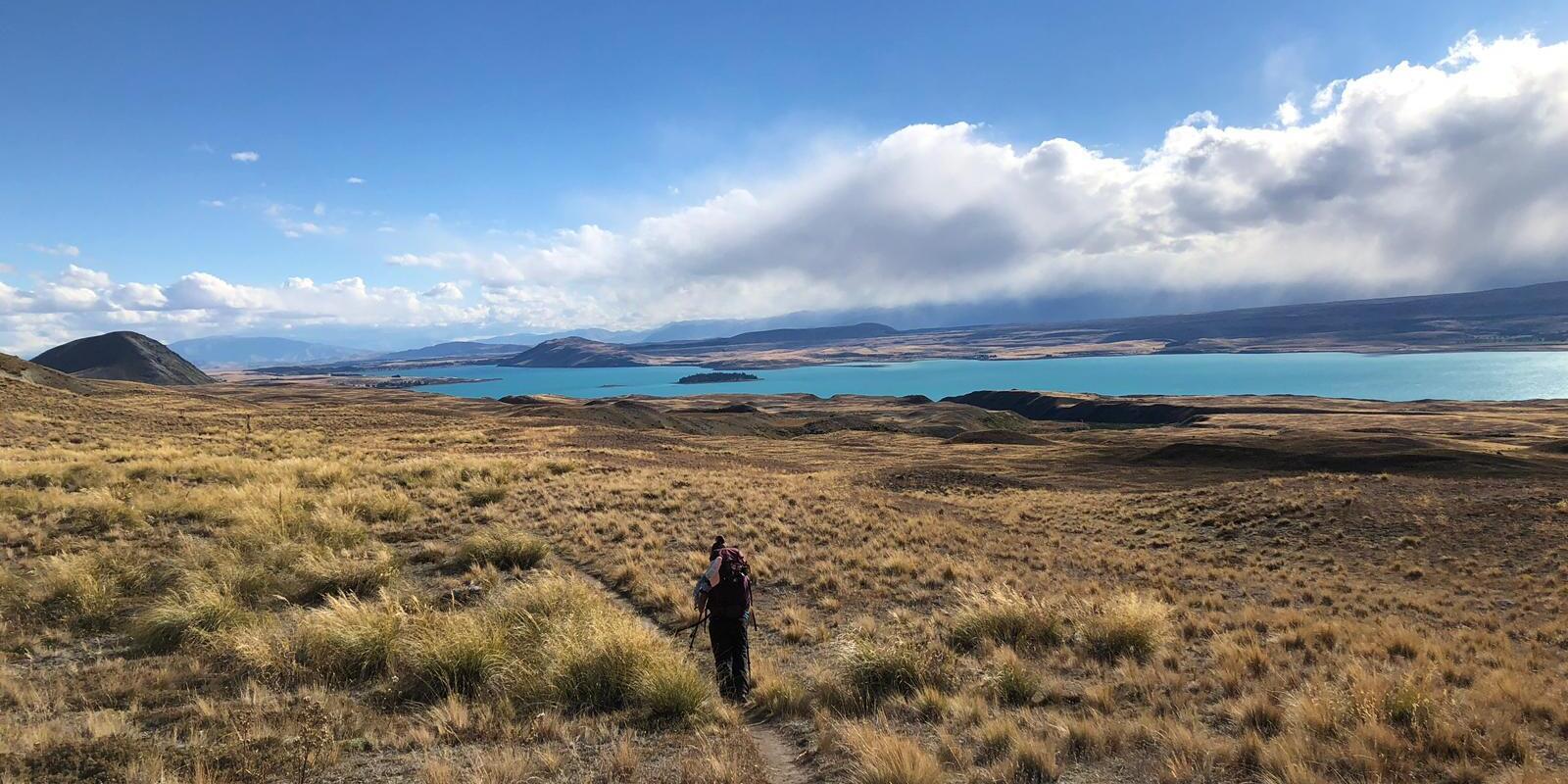 Paysage Te Araroa en Nouvelle-Zelande