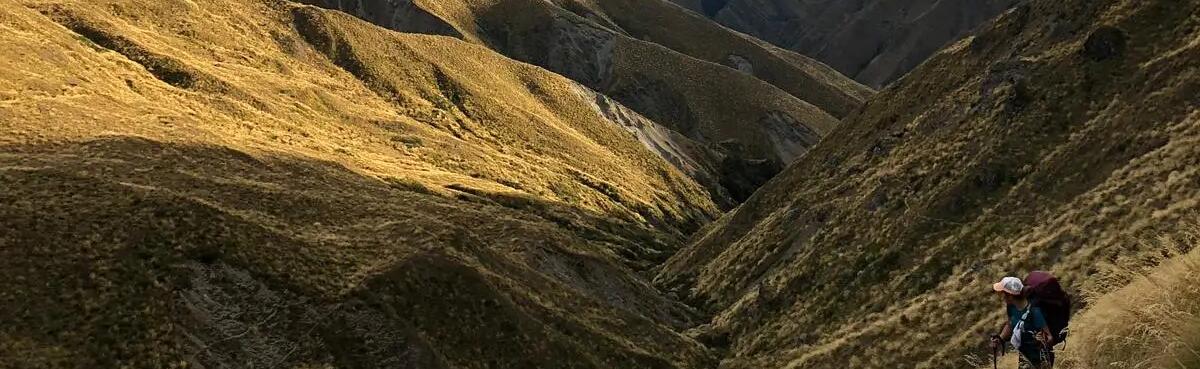 Paysage Te Araroa en Nouvelle Zelande
