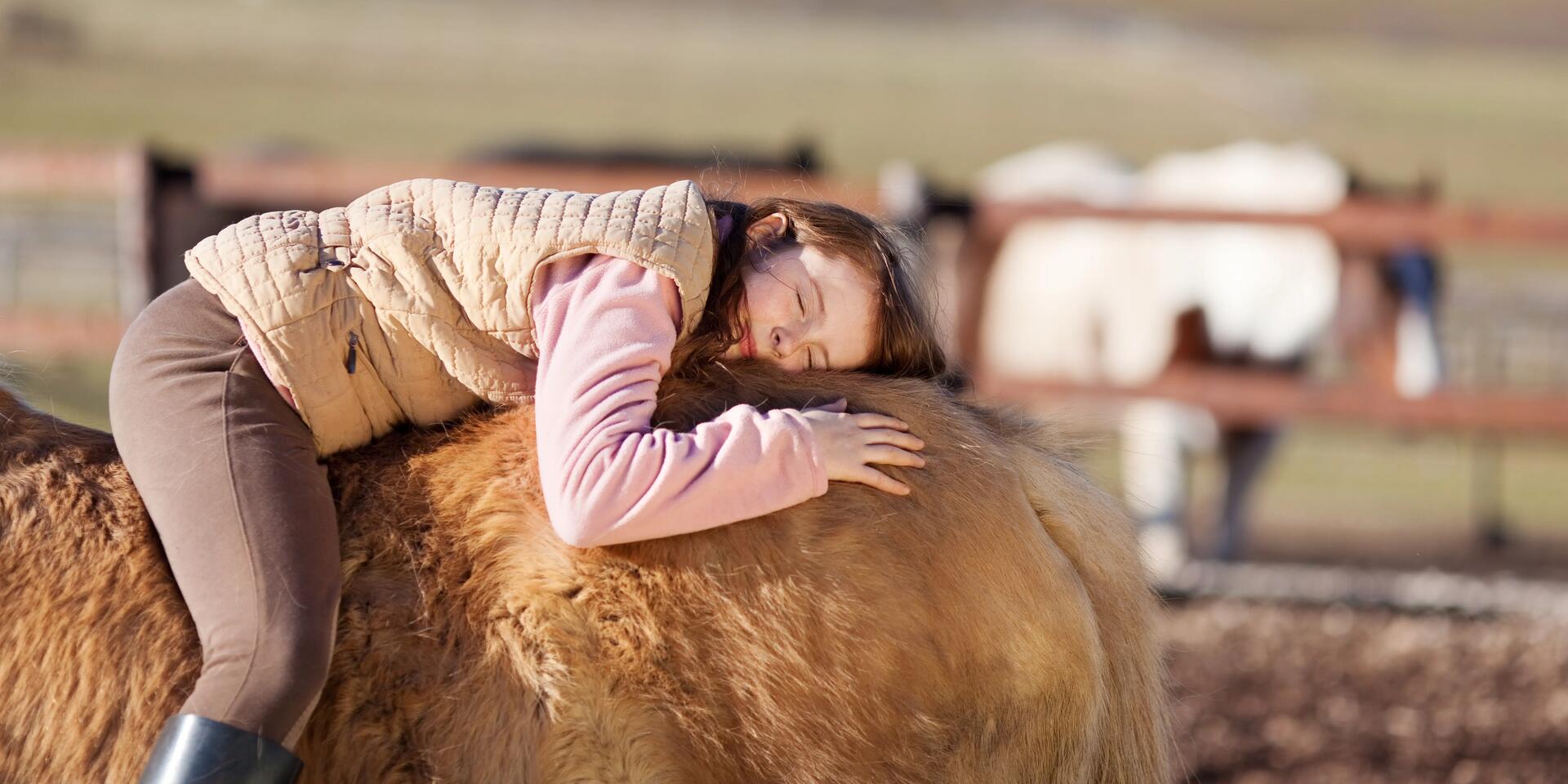 dziewczynka leżąca na koniu