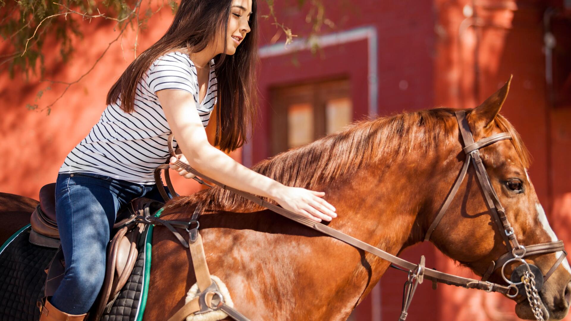dziewczyna siedząca na koniu z wodzami