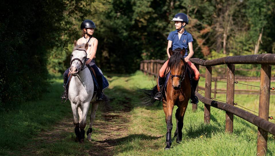 Equitation