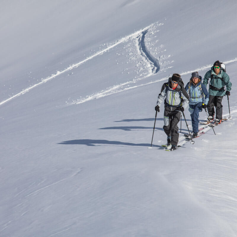 SKI MT 85