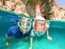 Sécurité du snorkeling Decathlon