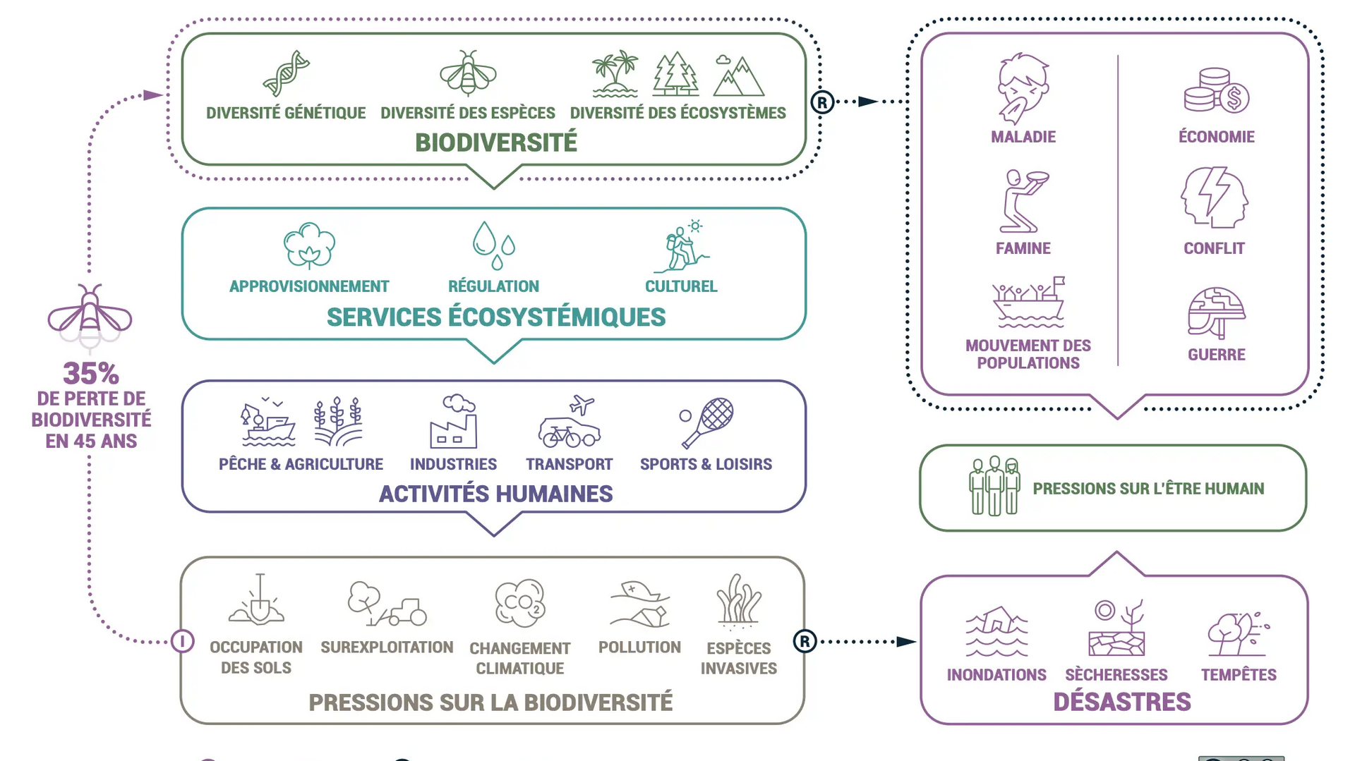 La biodiversité et DECATHLON
