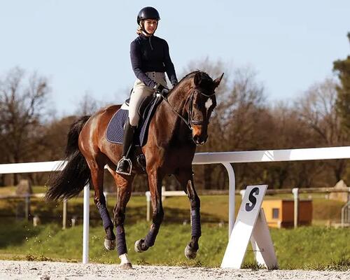 Springreiten