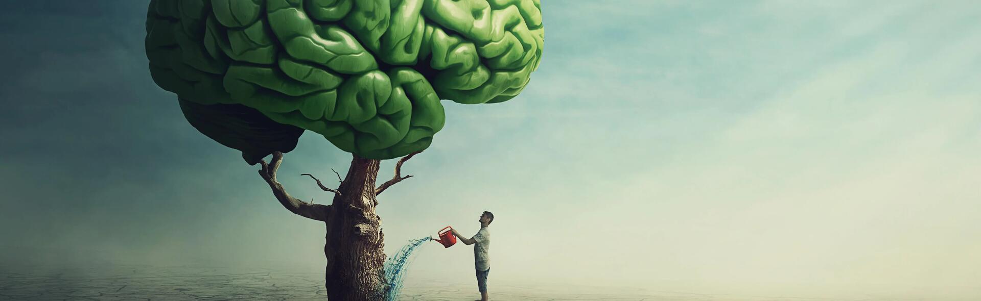 Muscler son cerveau, c'est possible ?