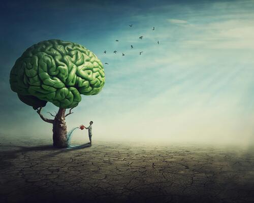 Muscler son cerveau, c'est possible ?