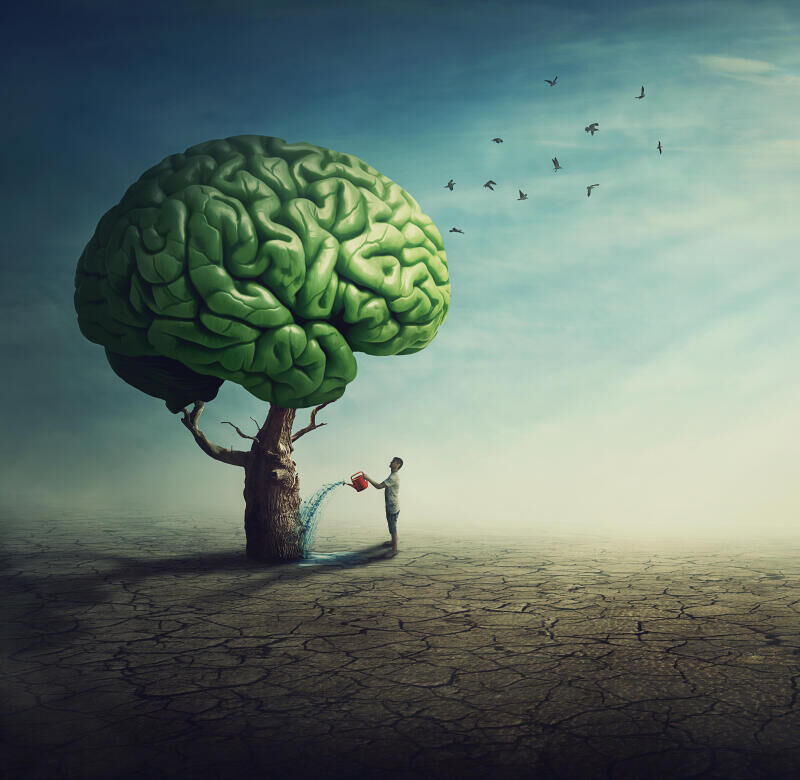 Muscler son cerveau, c'est possible ?