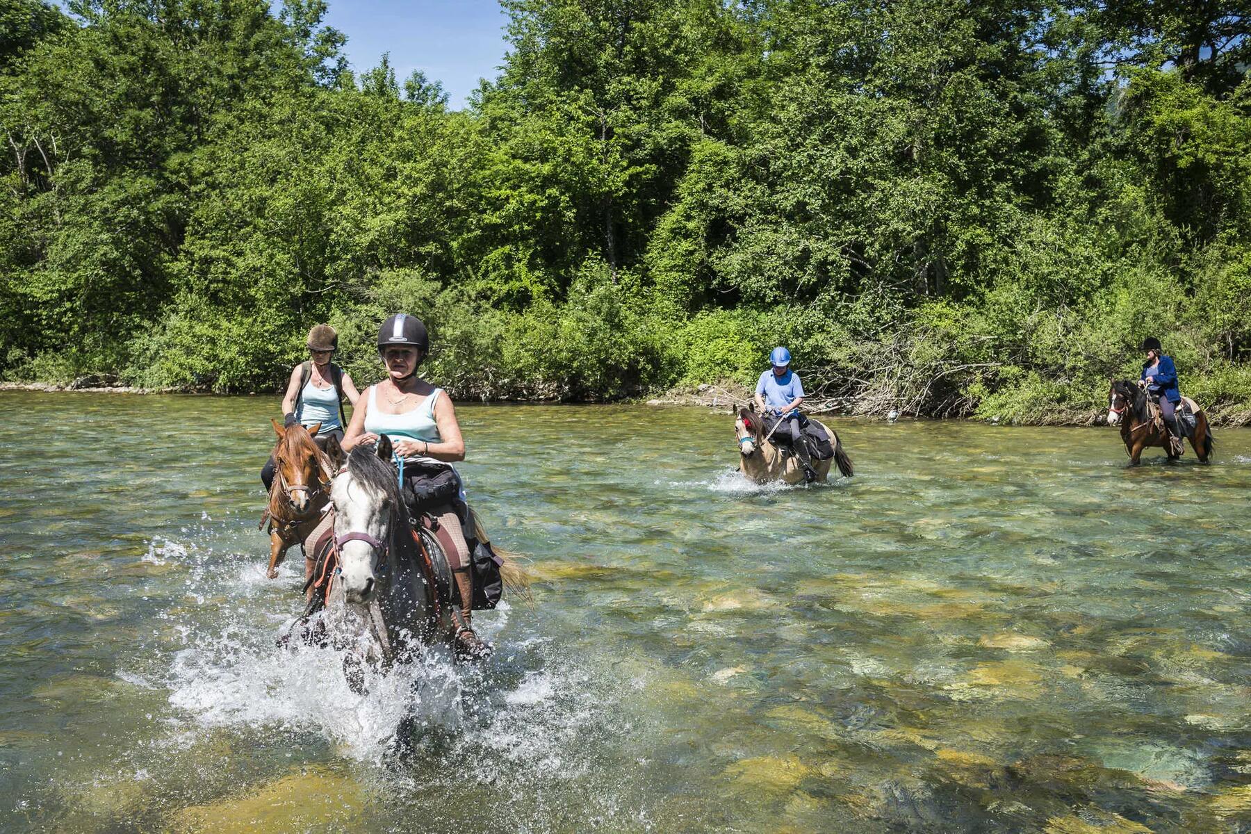 Nos 12 séjours à cheval préférés pour vos vacances