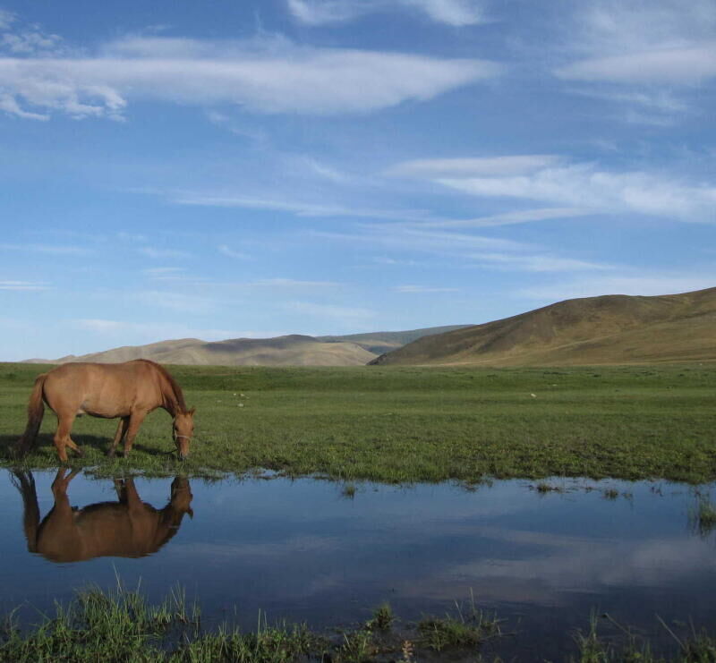 SEJOUR EQUESTRE