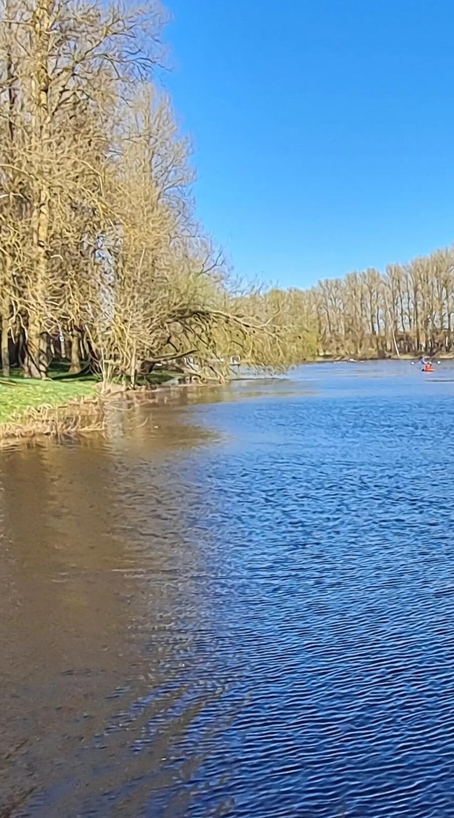 landscape of a lake on a calm day