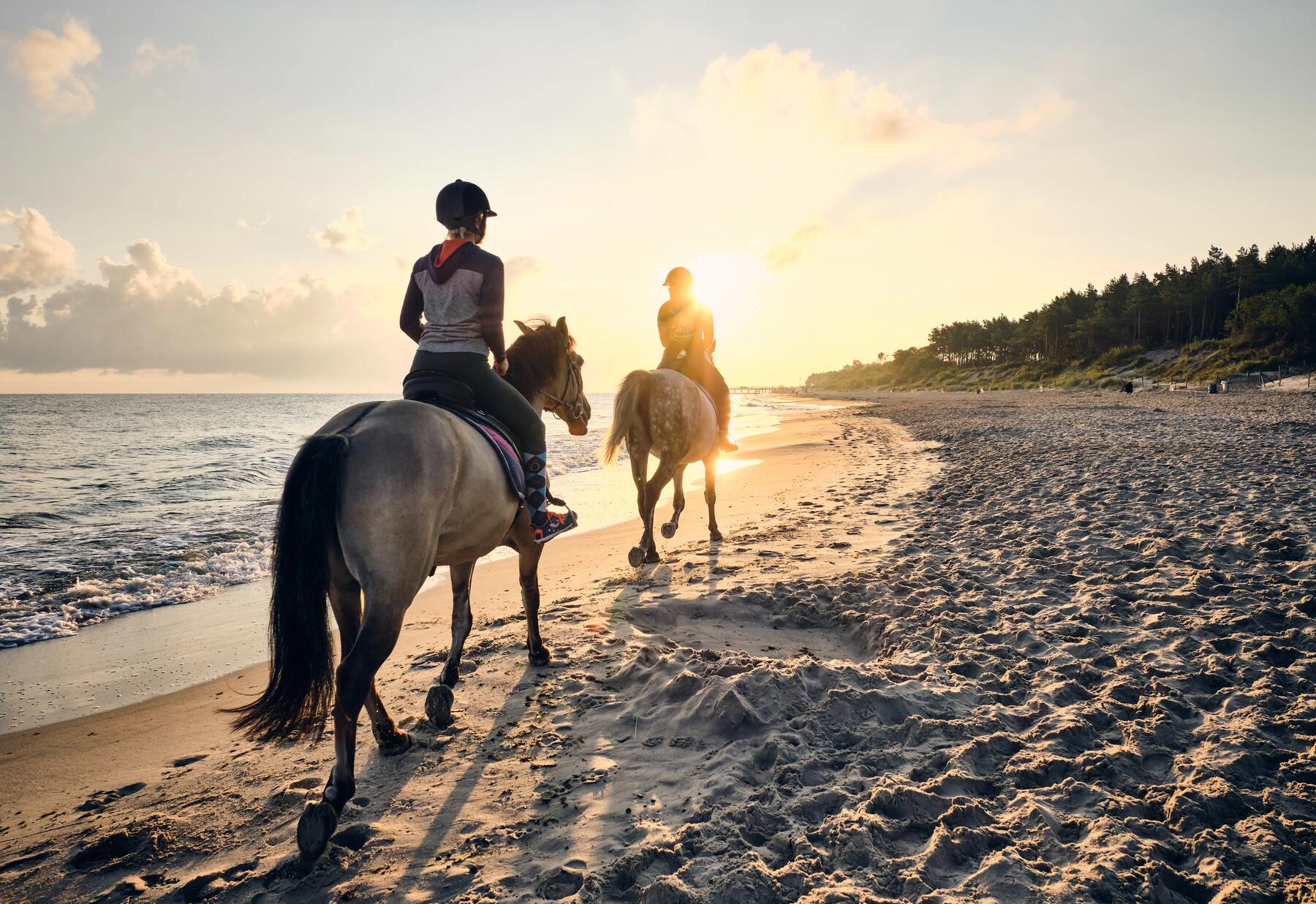 Nos 12 séjours à cheval préférés pour vos vacances