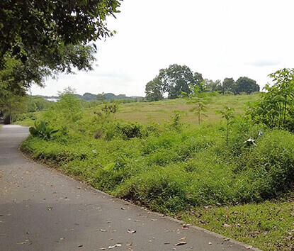 Complete Guide to Hiking at Ulu Sembawang Park Connector