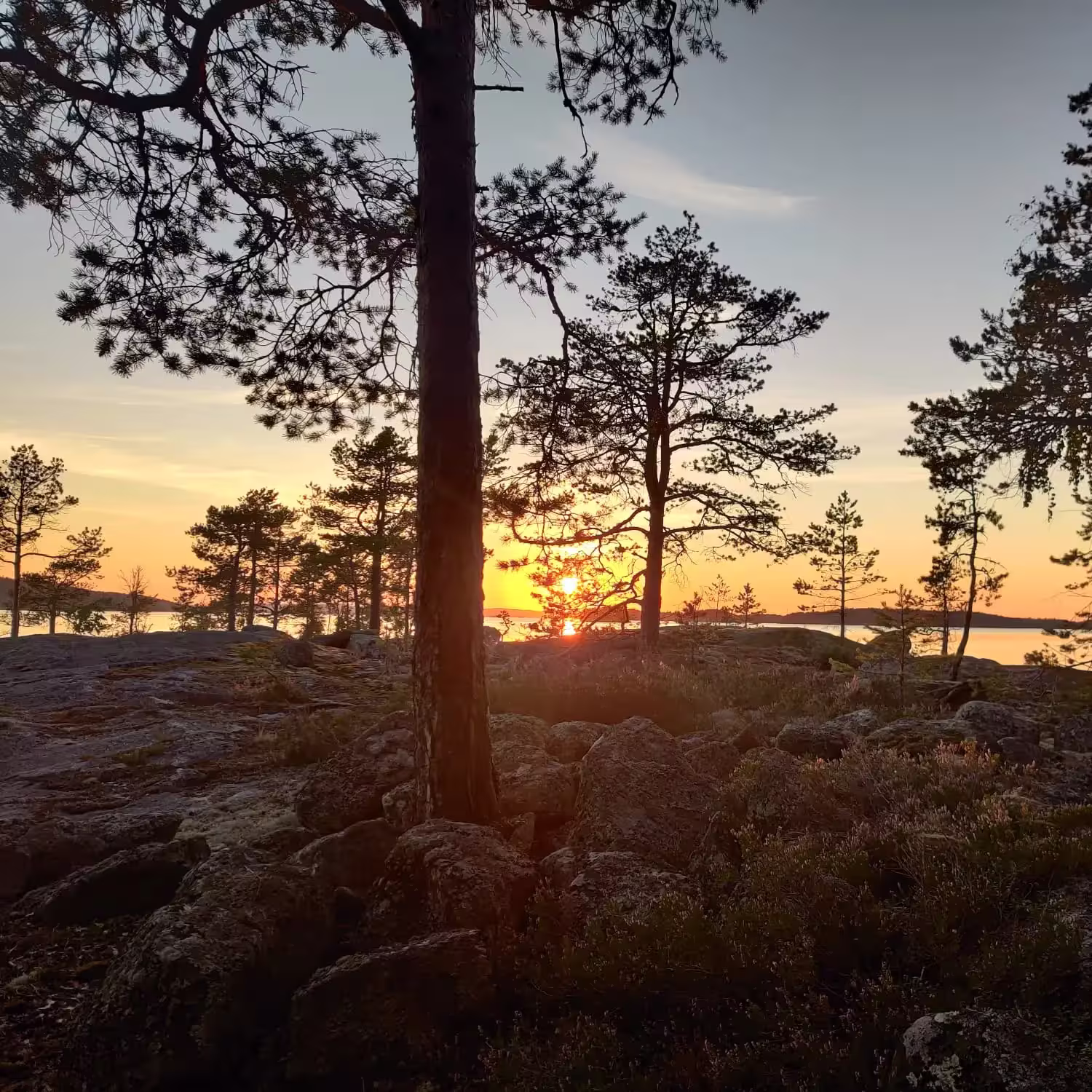 Photo couché de soleil en finlande © Photo couché de soleil en finlande