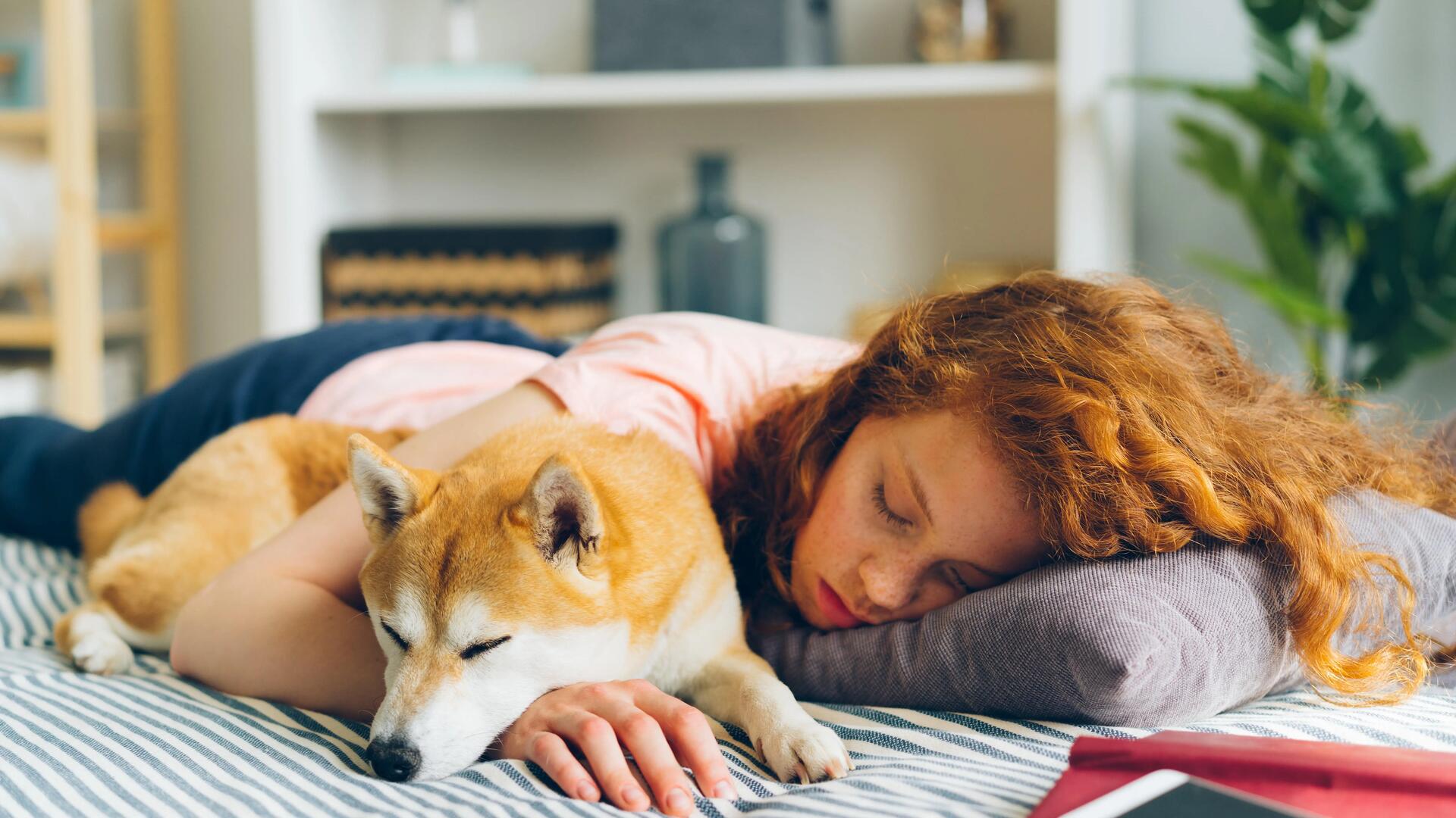 Une femme et son chien en train de dormir