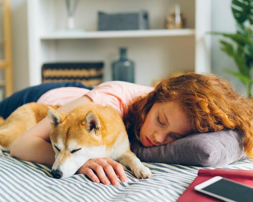 une femme dans son lit, avec son petit chien