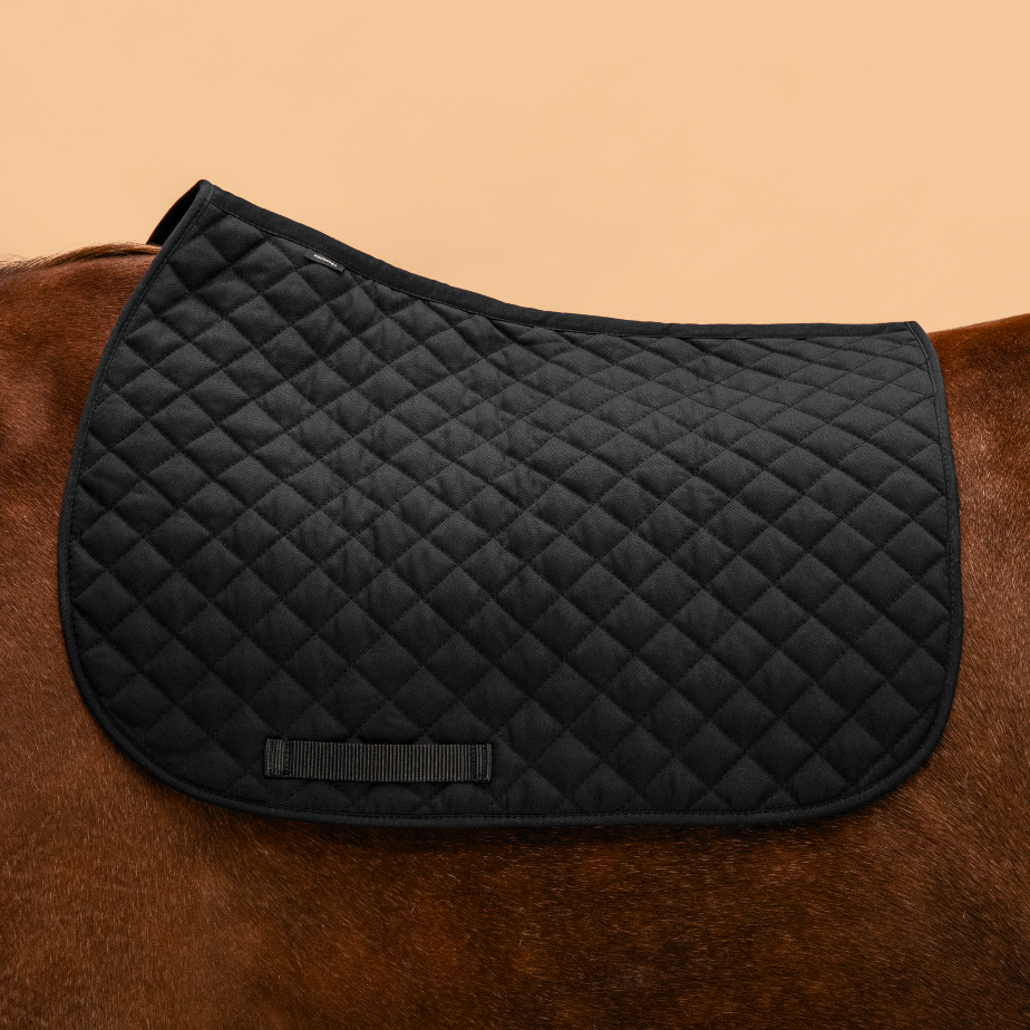 Equitation
