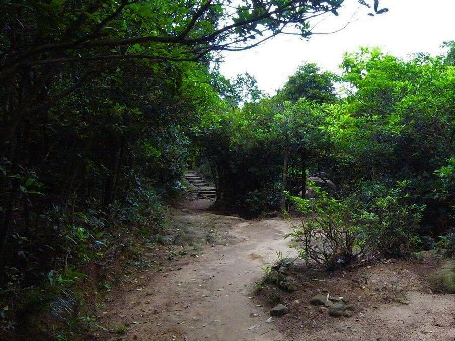越野跑|未跑先收藏!5條跑山路線逐一挑戰