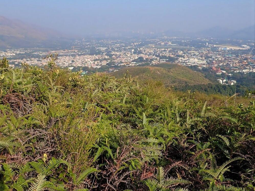 越野跑|未跑先收藏!5條跑山路線逐一挑戰